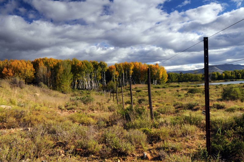 Karoo near Hanover
