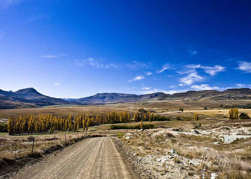 Landscape Karoo Steynsberg2 (3)
