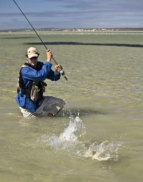 Langebaan 19