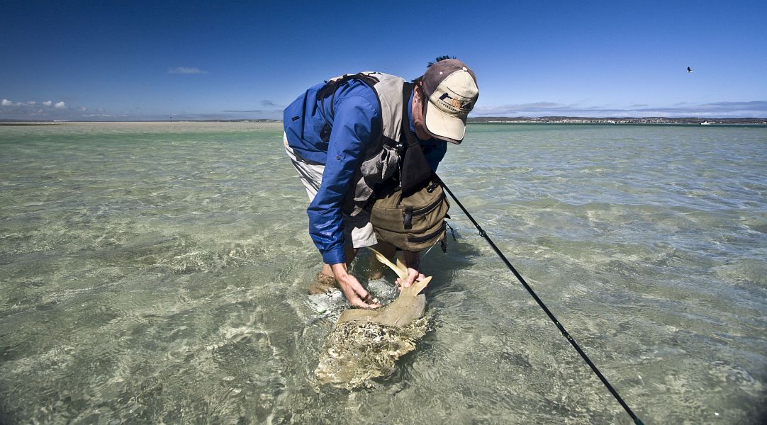 Langebaan 43
