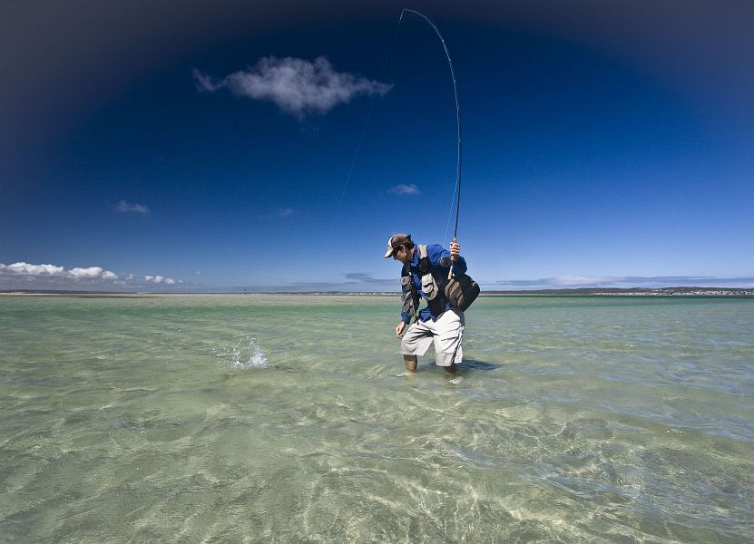 Langebaan 4