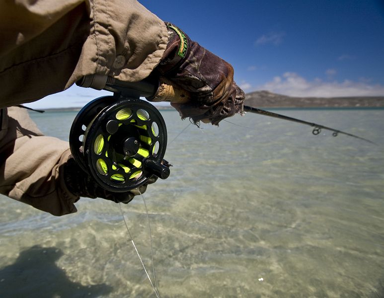 Langebaan 58