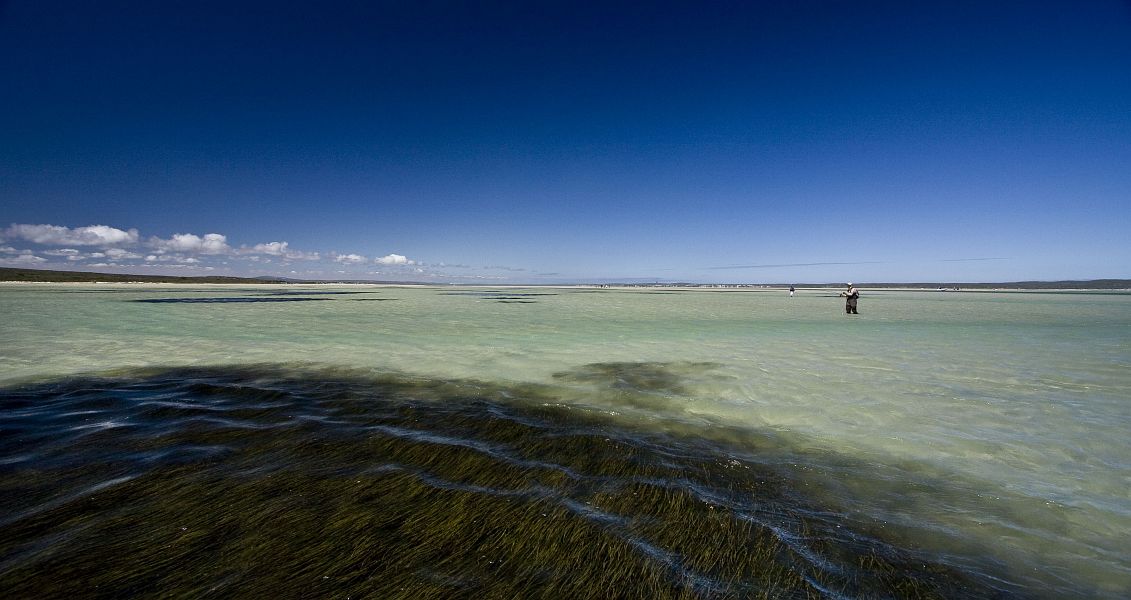 Langebaan landscape 59