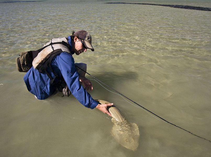 Langebaan release 20