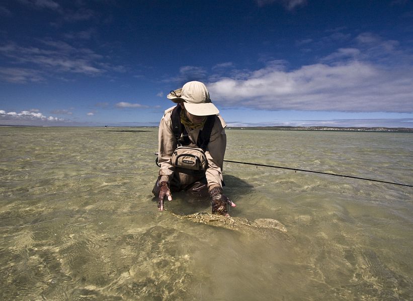 Langebaan release 36