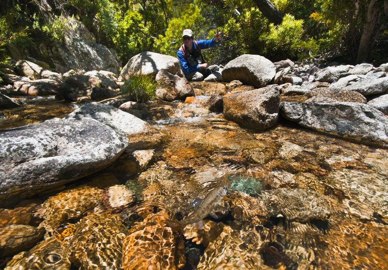 LEPP Home waters,  Western Cape