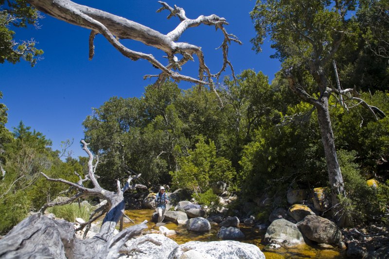 Lourens River (29)