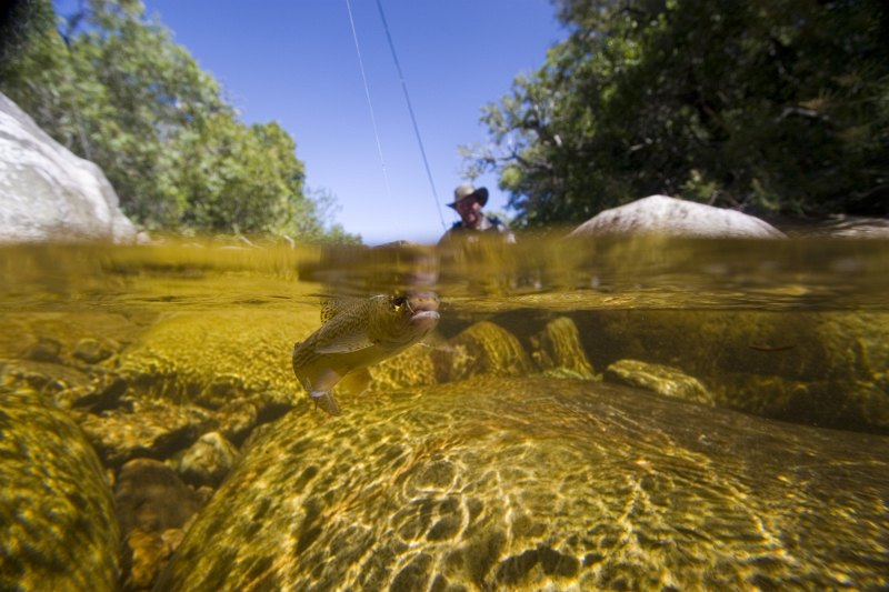 Lourens River (3)