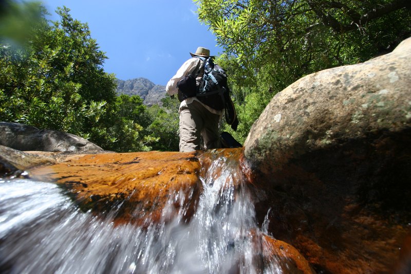 Lourens River (7)