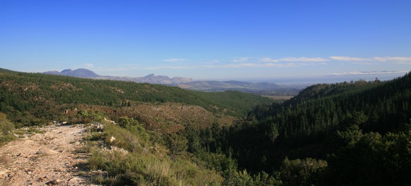 LOURENSFORD ESTATE