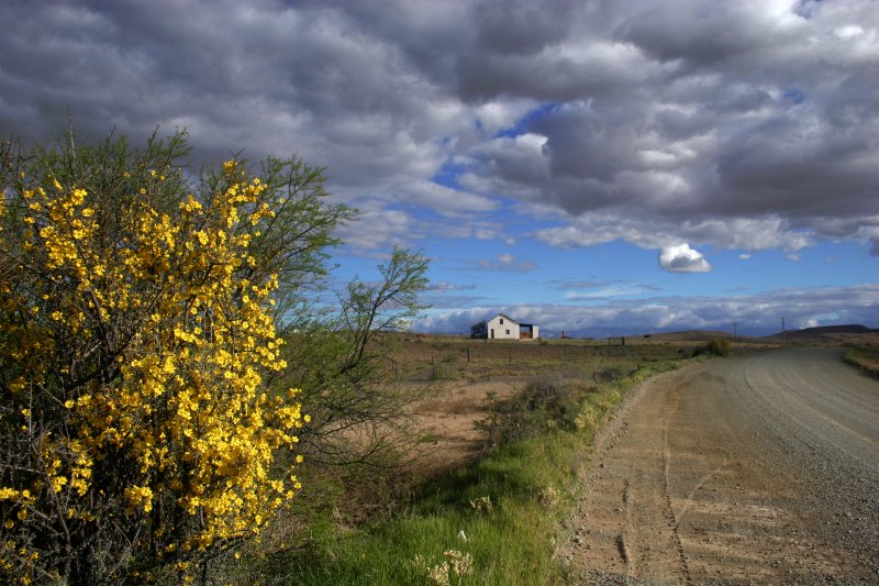 Prince Albert Road