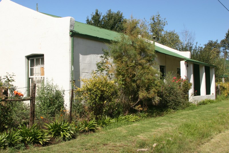 RHODES (1)