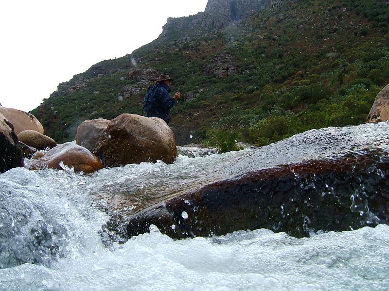 Smalblaar scenes (12)