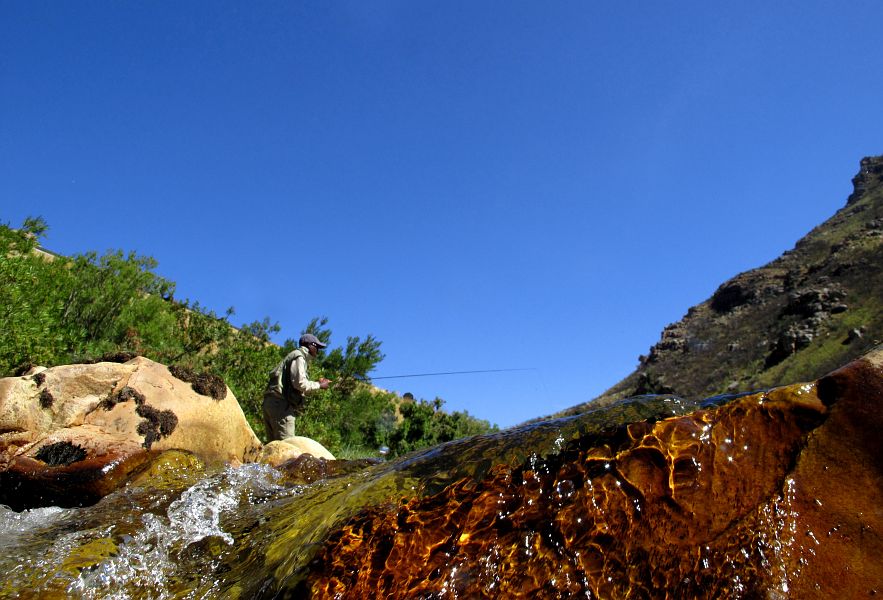 Smalblaar scenes (15)