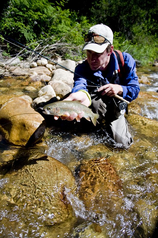 Small streams (36)