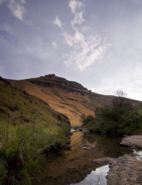 Small streams (40)