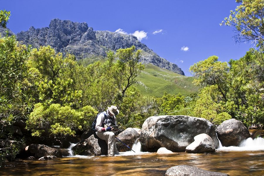 Small streams (45)