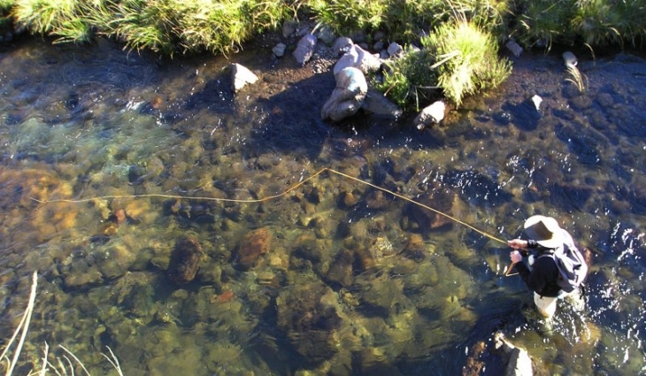 the_resinous_water_of_the_bokspruit_on_top_of_the_berg_