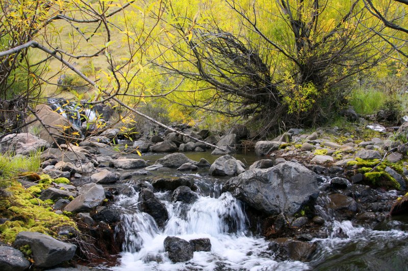 Unity stream