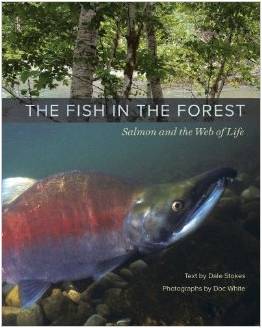 0098 The Fish in the forest 2