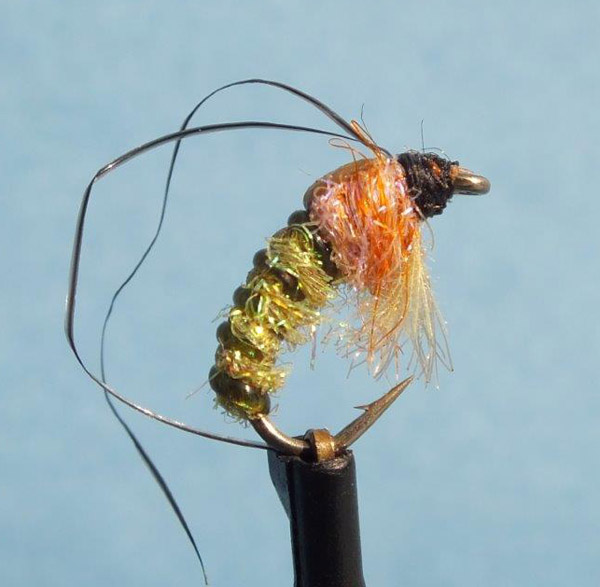 12 Caddis pupae fished as a dropper just off the bottom or just below the surface as an emerger