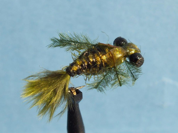 14 Mini Mottled Dragon works like a bomb for yellows if there is a little visibility in green water