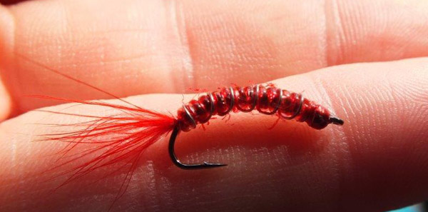 17 Blood worm tied on size 12 Partridge Klink hammer hook 25mmone inch long