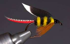 McGinty trout fly