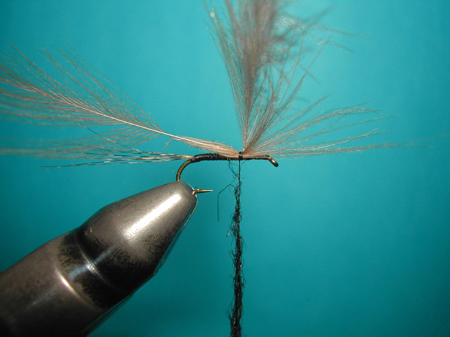 Agostino Roncall0 single CDC split wing mayfly 104