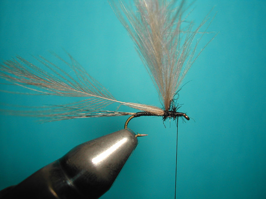 Agostino Roncall0 single CDC split wing mayfly 105