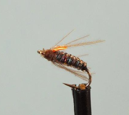 4000 Phantom Emerger size 18 with hot spot wing case Alan Hobson Sterkfontein dam DSCF7932