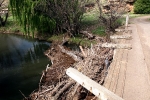 Bokspruit River