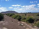 Karroo bridge 4