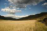 Bokspruit 2 (16)