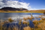 lepp_basie_vosloos_lake