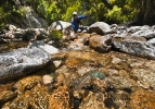 LEPP Home waters,  Western Cape