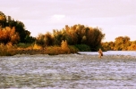 LEPP The Orange River at sunset