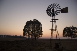 Dullstroom impressions (2)