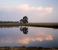 Dullstroom impressions (3)