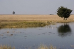 Dullstroom impressions (5)