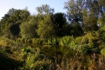 59 One of the loveliest chalkstreams The Hampshire Bourne (5)