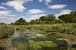 76 Itchen carrier stream