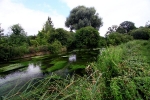 78 Looking upstream on the upper Itchen