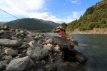 A trophy NZ brown which fell for a tiny black mayfly