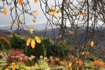 Birkhall and Barnksome scenes (1)