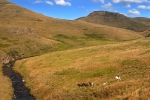 On Horseback to the top of the Berg (6)