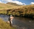 Trout from the Upper Bokspruit (12)