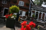 Hampshire chalkstreams (24)
