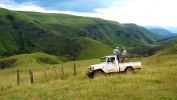 Trip into the Swith gorge