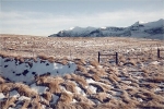 Snow fields